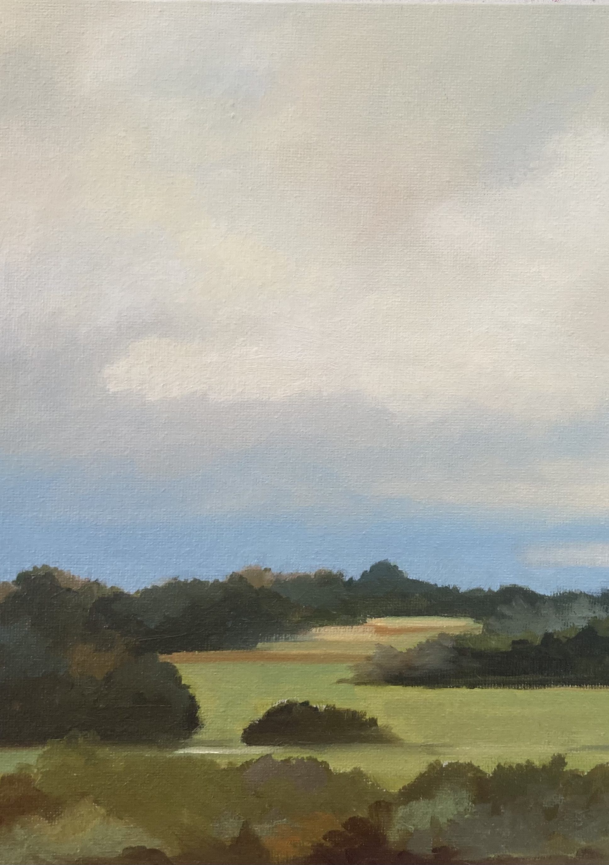 Campagne anglaise / Huile sur carton entoilé 27X35 cm